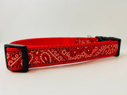 Bandana Dog Collar - Fetch Dog