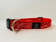 Bandana Dog Collar - Fetch Dog