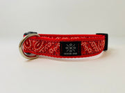 Bandana Dog Collar - Fetch Dog