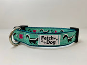 Black Skunk Dog Collar - Fetch Dog