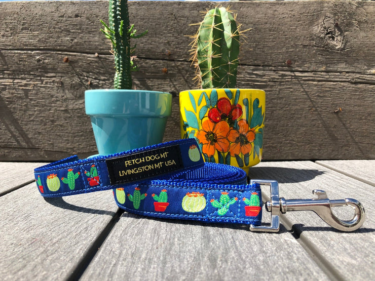 Cactus Dog Collar - Fetch Dog