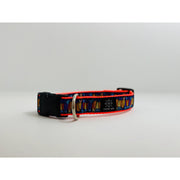 Colorful Carrots Dog Collar - Fetch Dog