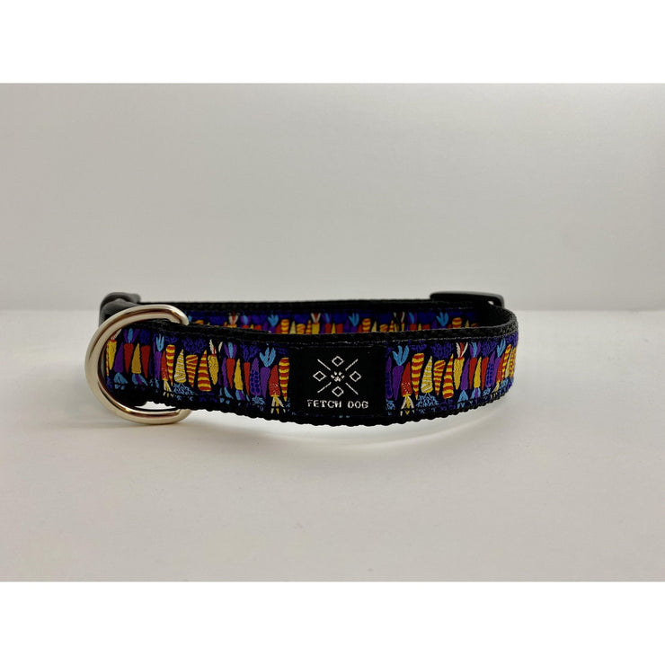 Colorful Carrots Dog Collar - Fetch Dog