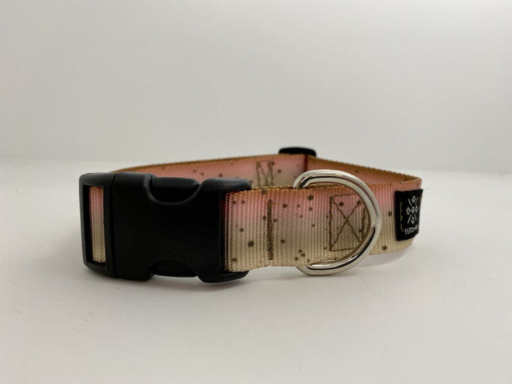 Cutthroat Trout Dog Collar - Fetch Dog