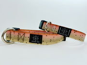 Cutthroat Trout Dog Collar - Fetch Dog