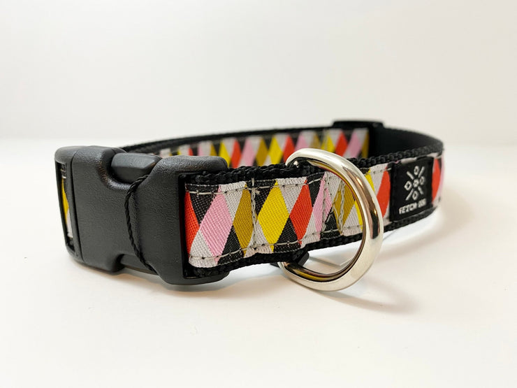 Harlequin Dog Collar - Fetch Dog