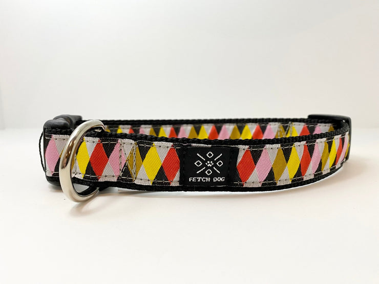 Harlequin Dog Collar - Fetch Dog