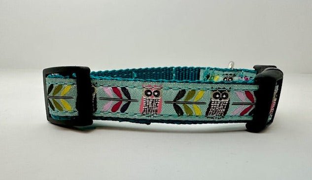 Owls Small Dog Collar - Fetch Dog