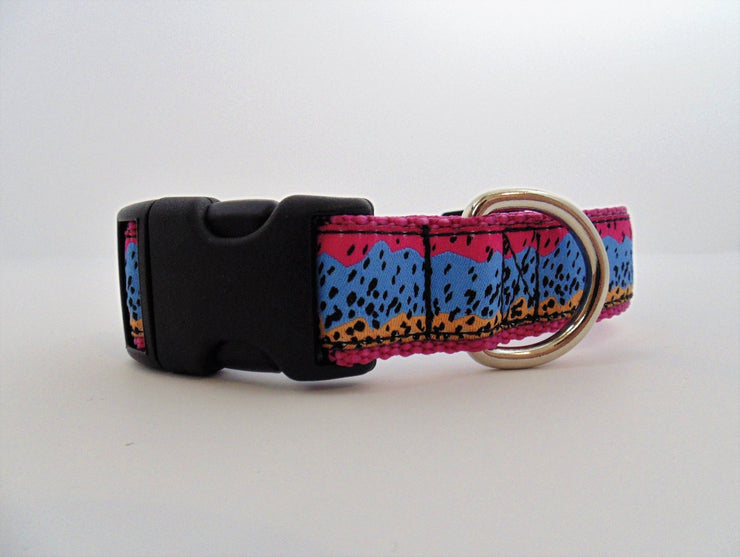 Rainbow Trout Dog Collar - Fetch Dog