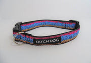 Rainbow Trout Dog Collar - Fetch Dog