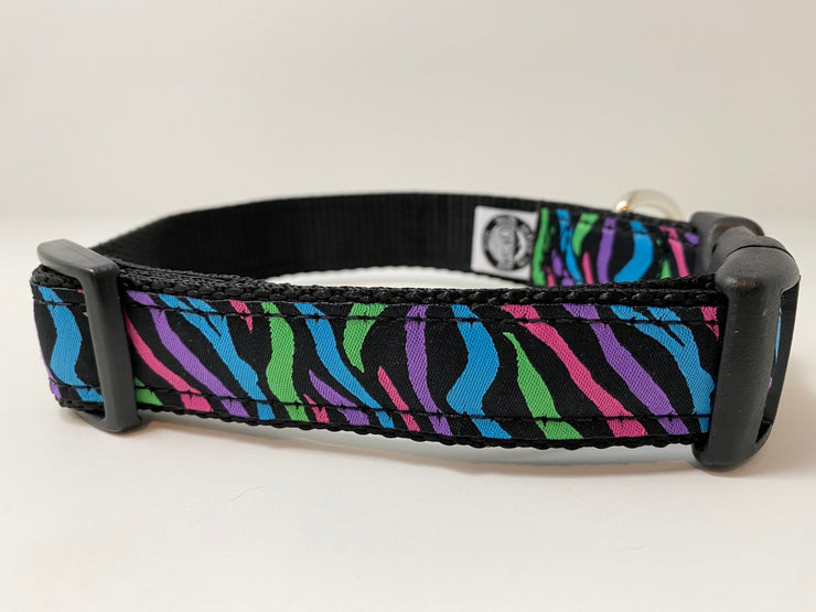 Rainbow Zebra Dog Collar - Fetch Dog