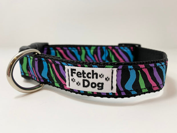 Rainbow Zebra Dog Collar - Fetch Dog