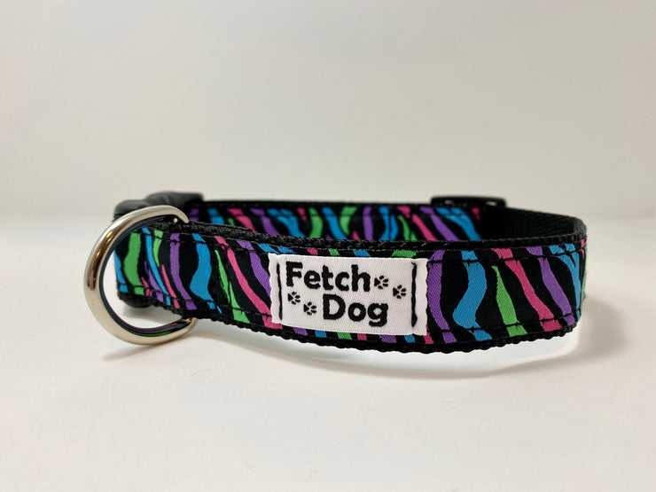 Rainbow Zebra Dog Collar - Fetch Dog