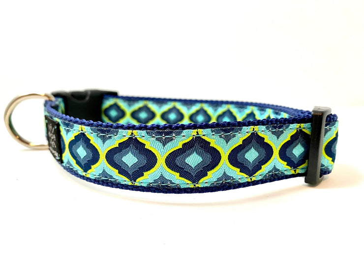 Turquoise Lantern Dog Collar - Fetch Dog