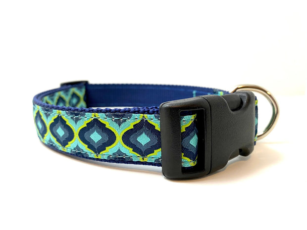 Turquoise Lantern Dog Collar - Fetch Dog