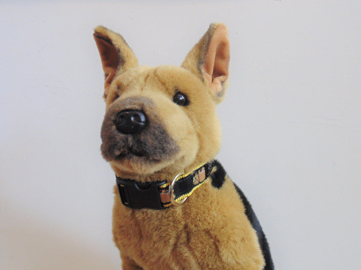 Taco Dog Collar - Fetch Dog 