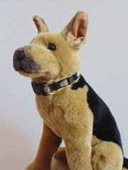 Taco Dog Collar - Fetch Dog 