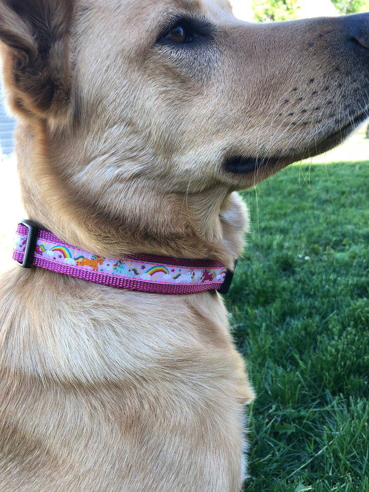 Unicorn & Rainbow Dog Collar - Fetch Dog 