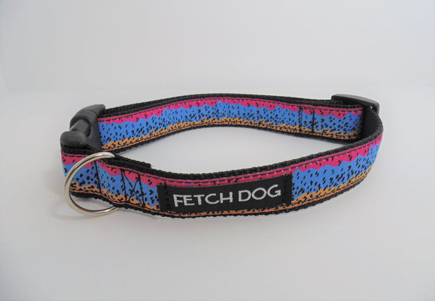 Rainbow Trout Dog Collar - Fetch Dog 
