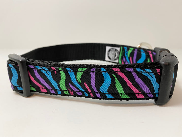 Rainbow Zebra Dog Collar